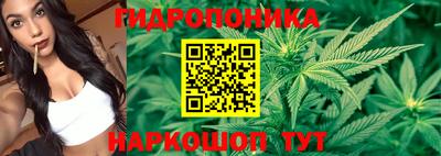 эйфоретик Будённовск
