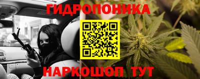 эйфоретик Будённовск