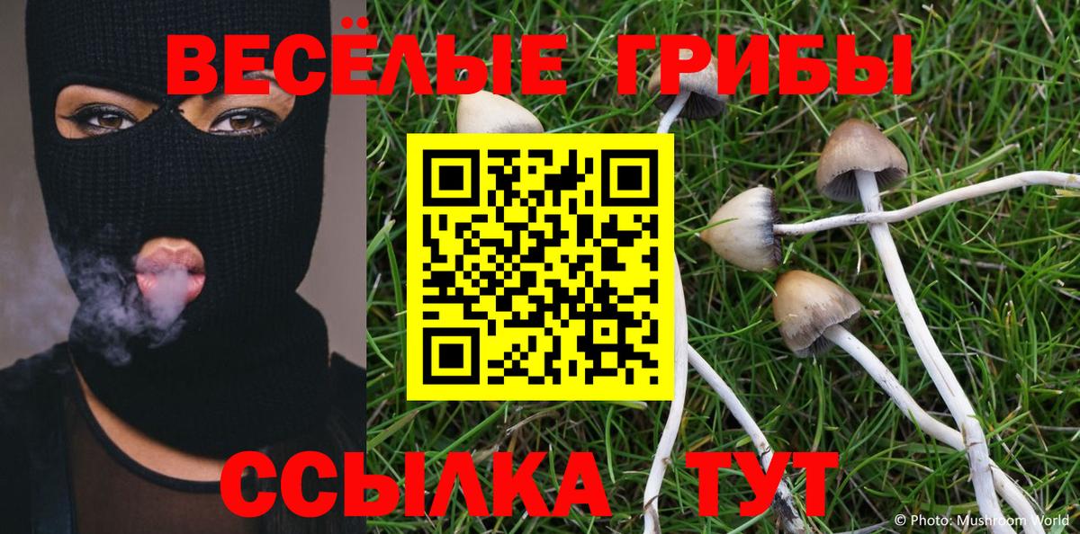 Галлюциногенные грибы Cubensis  Псилоцибиновые грибы Cubensis  Вход с VPN  Ульяновск 