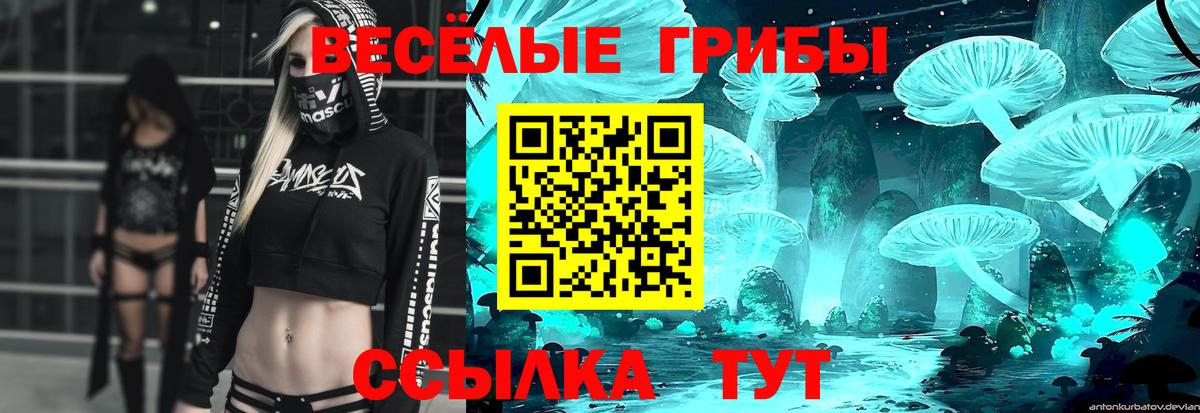 Галлюциногенные грибы прущие грибы Ульяновск